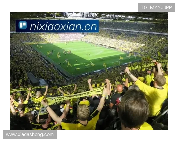 开云体育登陆网址官方入口,快速访问体验优质体育赛事直播