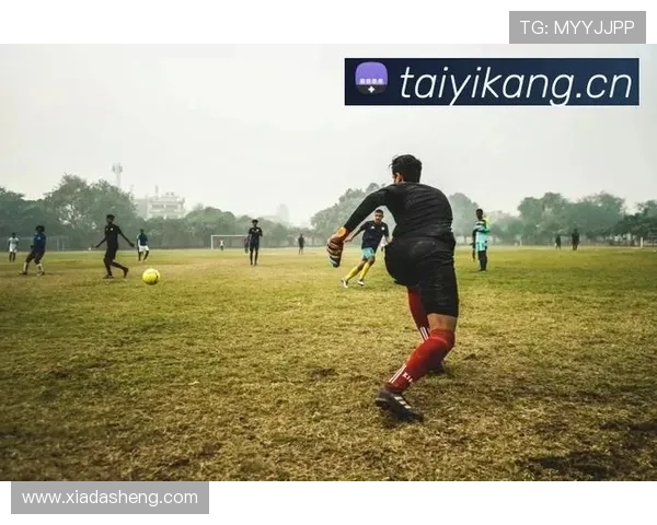 探索开云kaiyun体育app下载官网的独特优势与体育项目选择